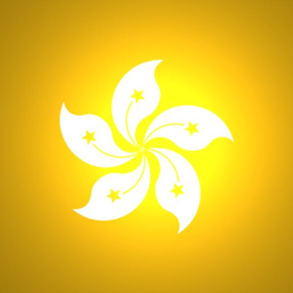 国内到香港物流,大陆至香港货运,广州物流到香港