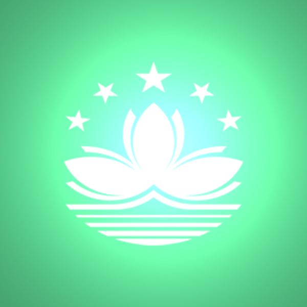 国内到澳门物流,国内至澳门货运,国内物流到澳门