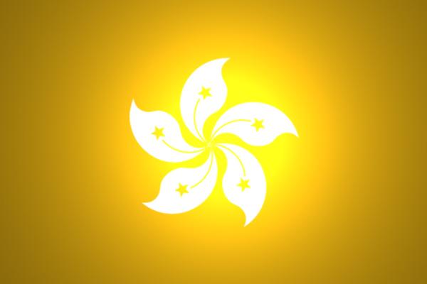 国内到香港物流,大陆至香港货运,广州物流到香港