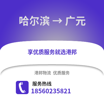 哈尔滨到广元物流专线_哈尔滨到广元货运专线公司