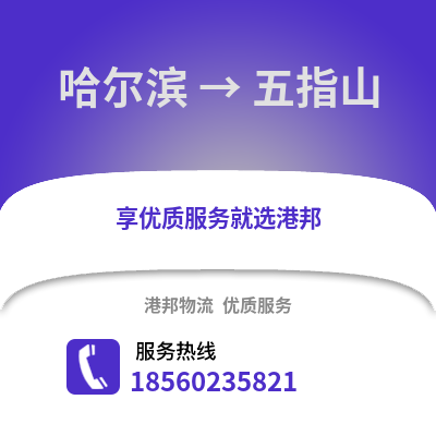 哈尔滨到五指山物流专线_哈尔滨到五指山货运专线公司