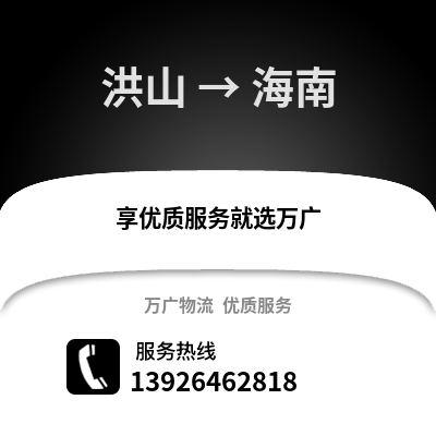 武汉洪山到海南物流专线_武汉洪山到海南货运专线公司