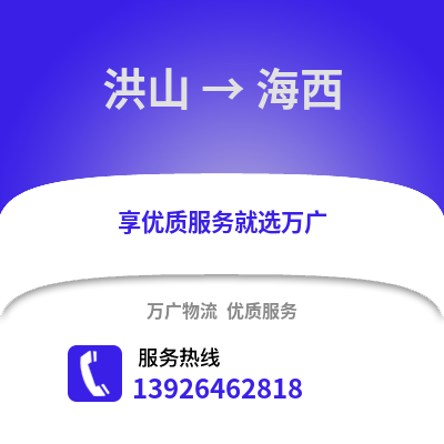 武汉洪山到海西物流专线_武汉洪山到海西货运专线公司