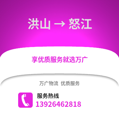 武汉洪山到怒江物流专线_武汉洪山到怒江货运专线公司