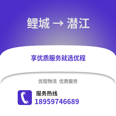 泉州鲤城到潜江物流专线_泉州鲤城到潜江货运专线公司