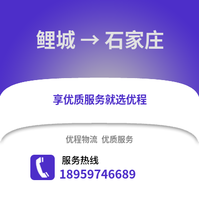 泉州鲤城到石家庄物流专线_泉州鲤城到石家庄货运专线公司