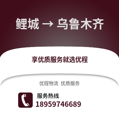 泉州鲤城到乌鲁木齐物流专线_泉州鲤城到乌鲁木齐货运专线公司