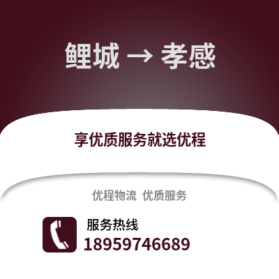 泉州鲤城到孝感物流专线_泉州鲤城到孝感货运专线公司