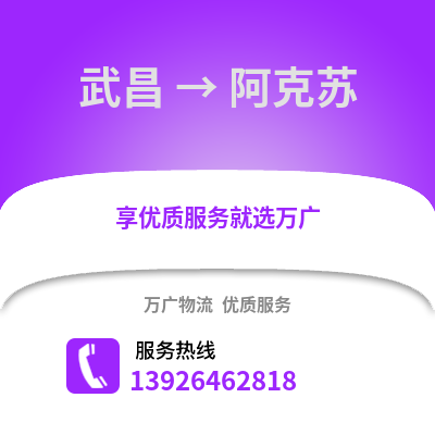 武汉武昌到阿克苏物流专线_武汉武昌到阿克苏货运专线公司