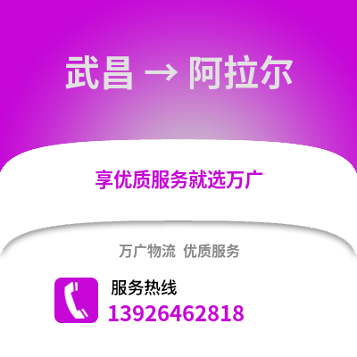 武汉武昌到阿拉尔物流专线_武汉武昌到阿拉尔货运专线公司