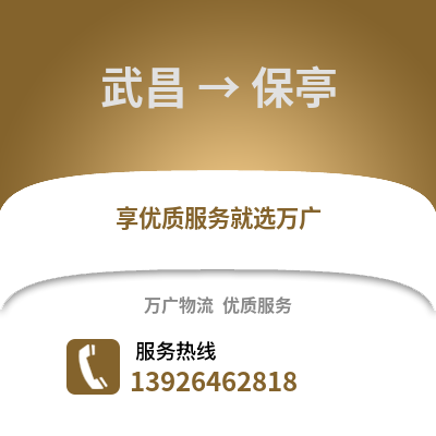 武汉武昌到保亭物流专线_武汉武昌到保亭货运专线公司