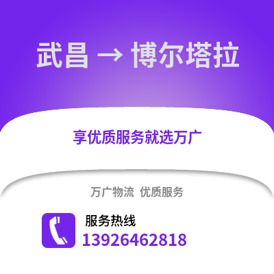 武汉武昌到博尔塔拉物流专线_武汉武昌到博尔塔拉货运专线公司