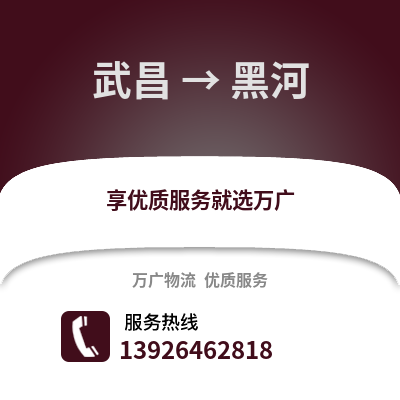 武汉武昌到黑河物流专线_武汉武昌到黑河货运专线公司
