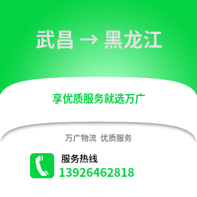 武汉武昌到黑龙江物流专线_武汉武昌到黑龙江货运专线公司