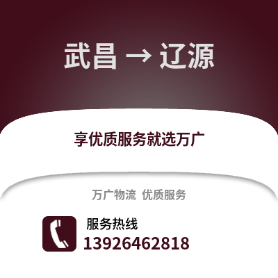 武汉武昌到辽源物流专线_武汉武昌到辽源货运专线公司