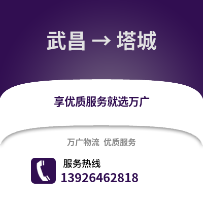 武汉武昌到塔城物流专线_武汉武昌到塔城货运专线公司