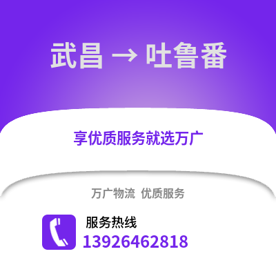 武汉武昌到吐鲁番物流专线_武汉武昌到吐鲁番货运专线公司