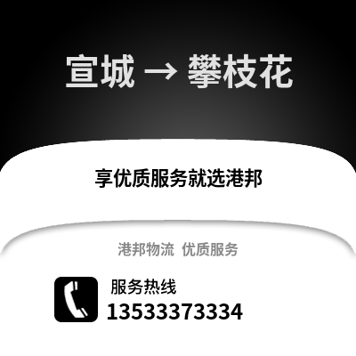 宣城到攀枝花物流专线_宣城到攀枝花货运专线公司