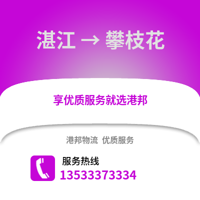 湛江到攀枝花物流专线_湛江到攀枝花货运专线公司